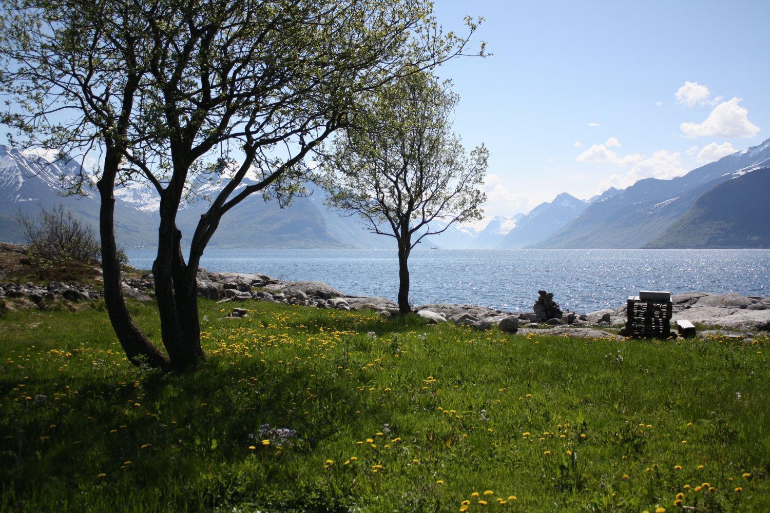 Sunde Fjord Hotel, Free And Easy Parking Solavagen Extérieur photo